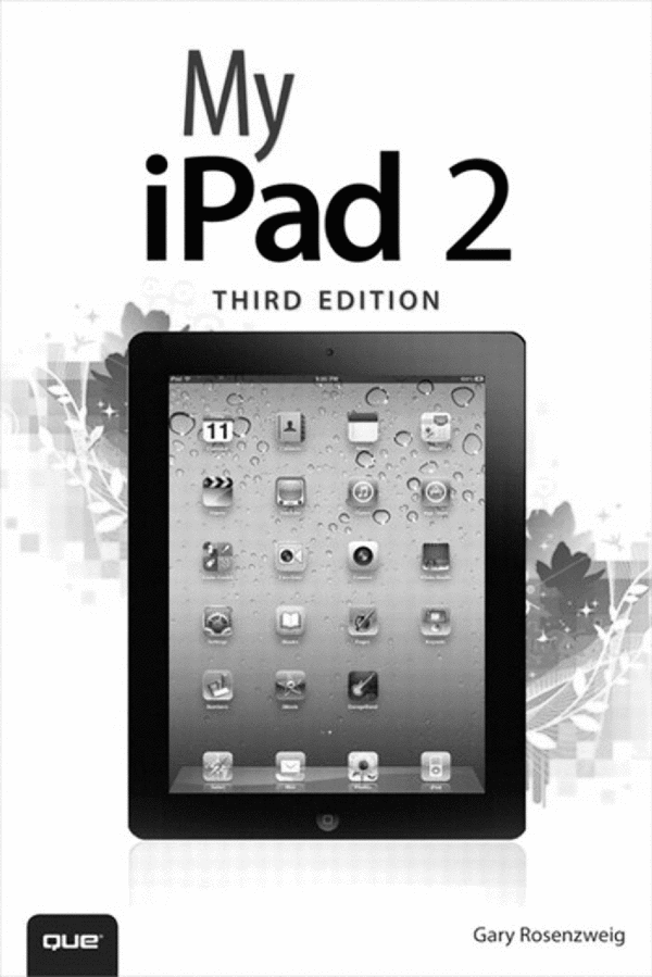 Product picture My iPad (4th Ed)